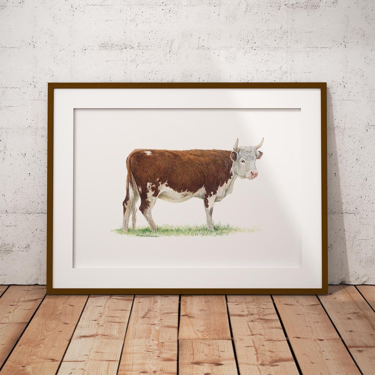 Bullock 2 Wall Art Print - Countryman John