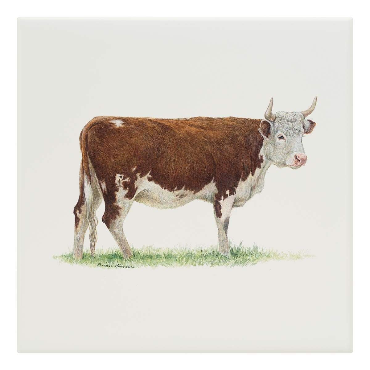 Bullock 2 Tile - Countryman John