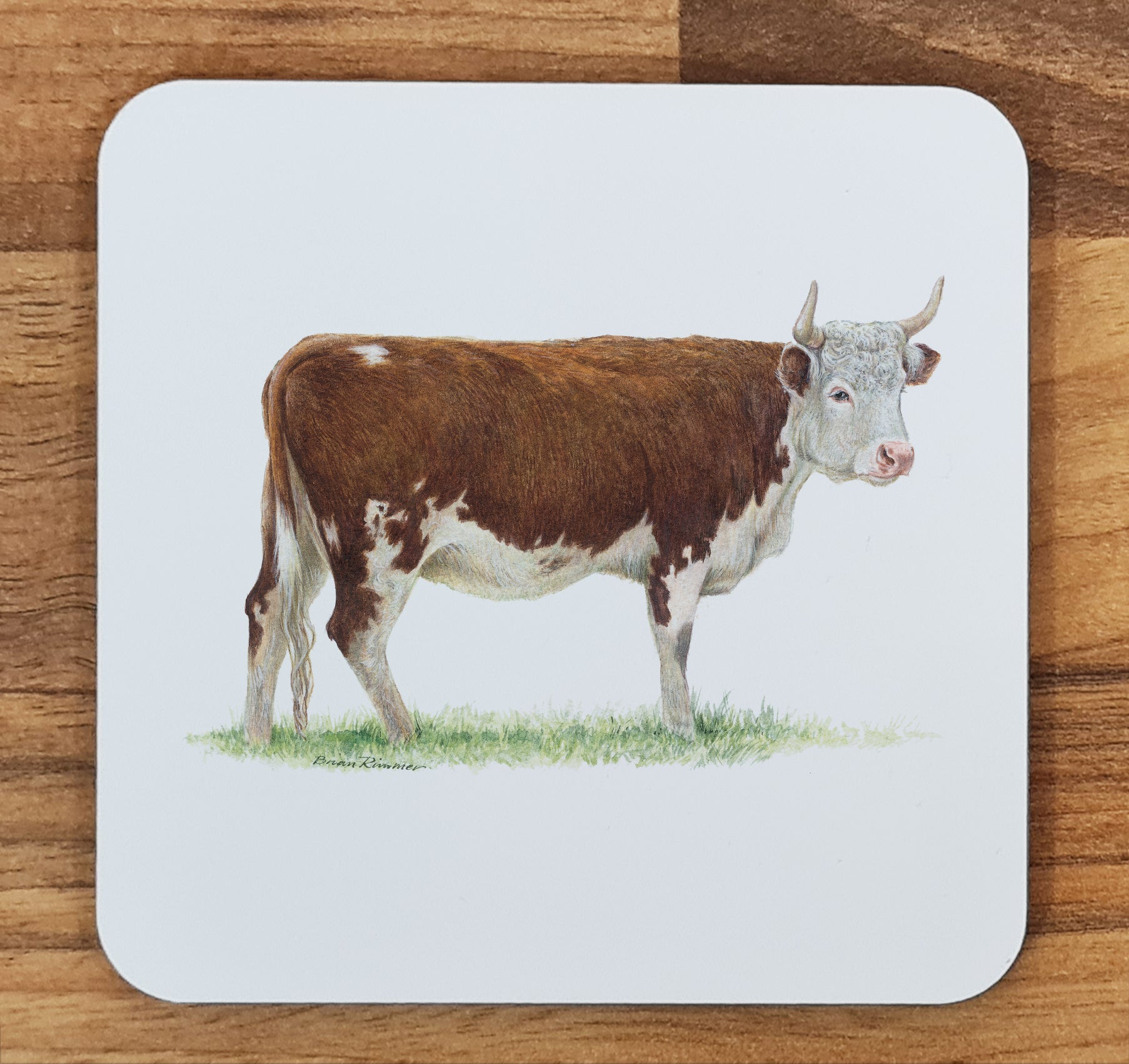 cow coaster