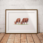 Cows Feeding Wall Art Print - Countryman John