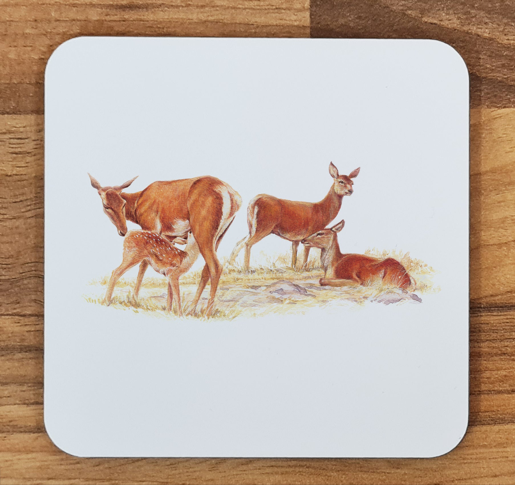 deer coaster