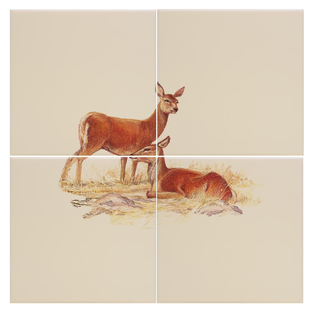 Red Hind Deer Tile - Countryman John