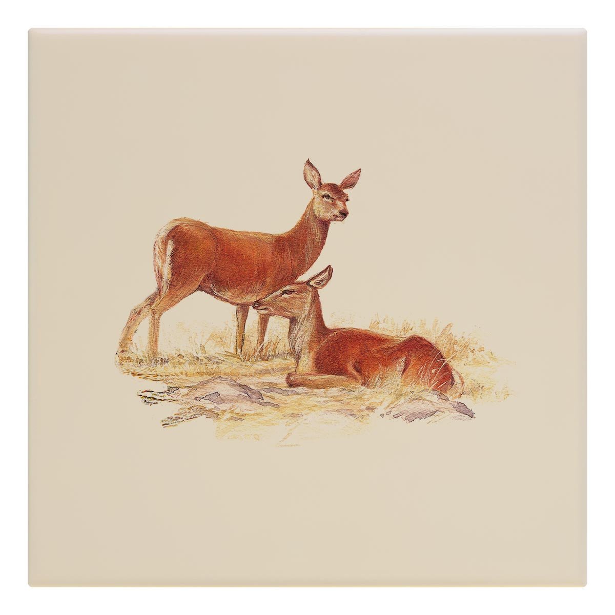 Red Hind Deer Tile - Countryman John