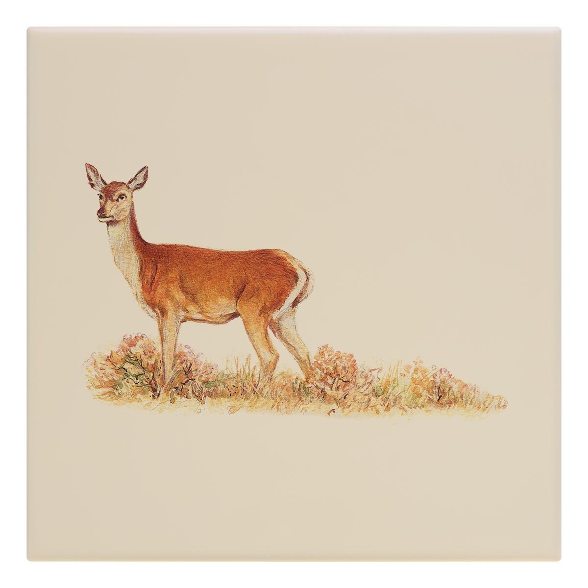 Red Calf Doe Tile - Countryman John