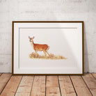 Red Calf Doe Wall Art Print - Countryman John