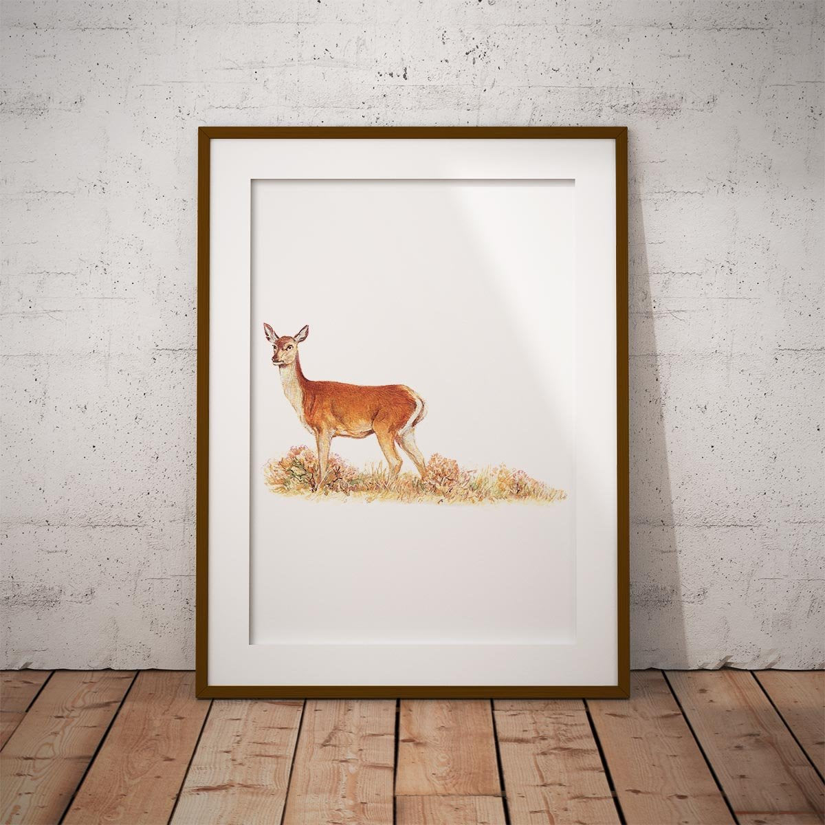 Red Calf Doe Wall Art Print - Countryman John