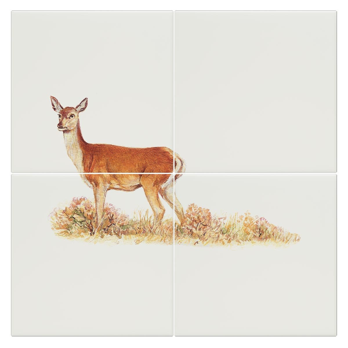 Red Calf Doe Tile - Countryman John