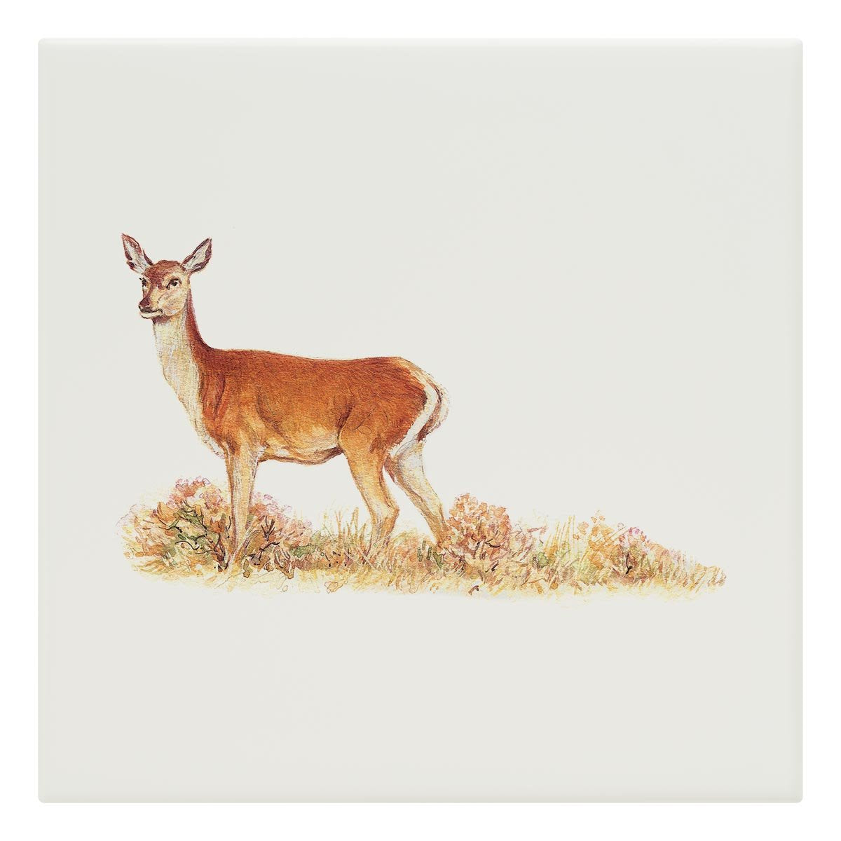 Red Calf Doe Tile - Countryman John