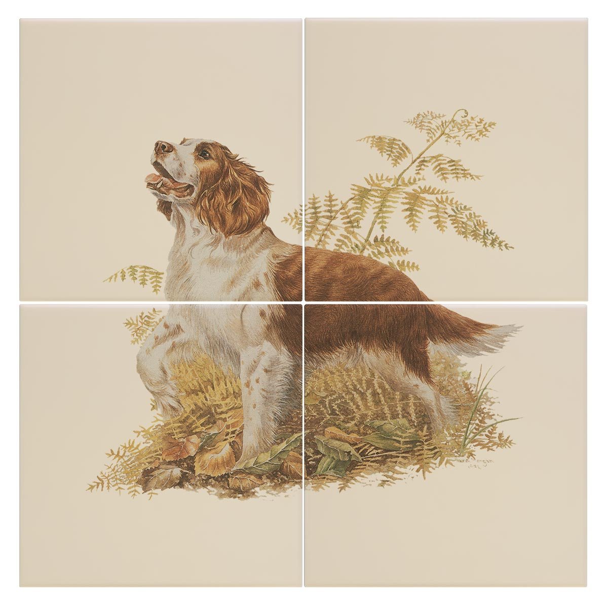 Brown and White Springer Spaniel Tile - Countryman John