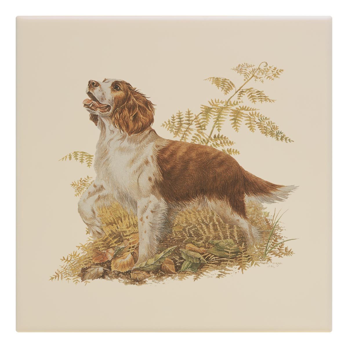 Brown and White Springer Spaniel Tile - Countryman John