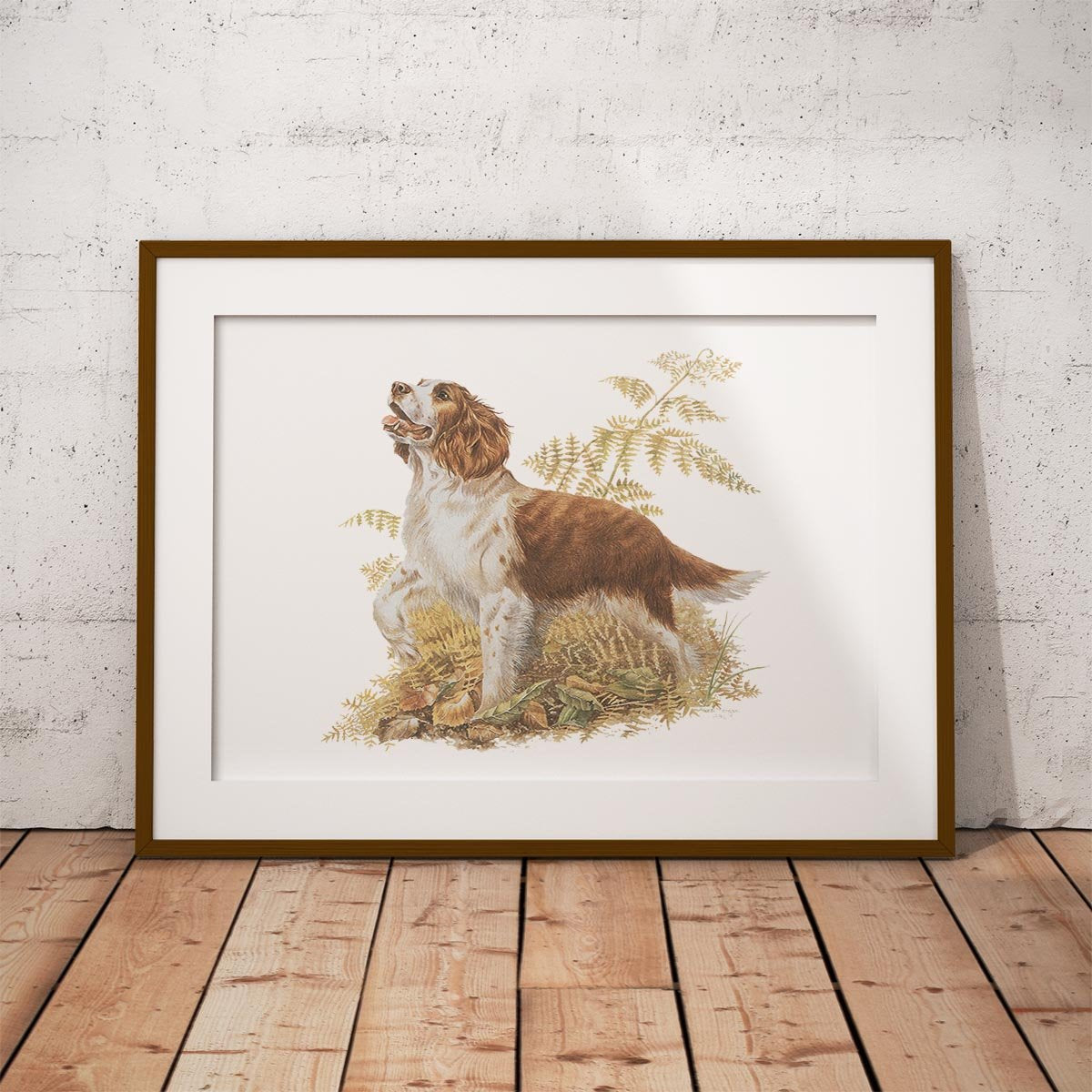 Brown and White Springer Spaniel Wall Art Print - Countryman John