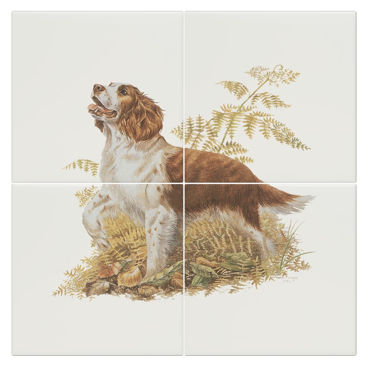 Brown and White Springer Spaniel Tile - Countryman John