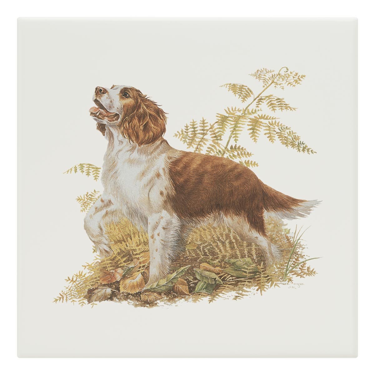 Brown and White Springer Spaniel Tile - Countryman John