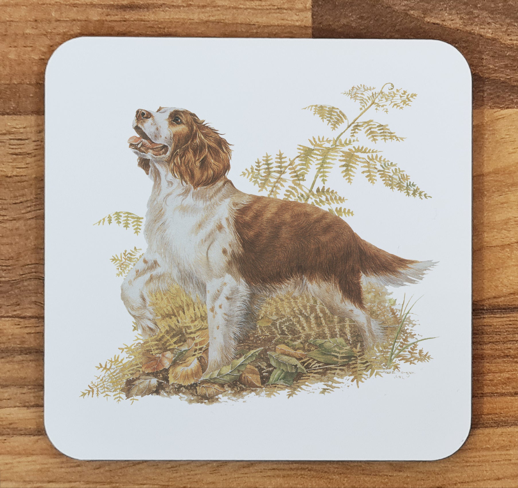 dog coaster