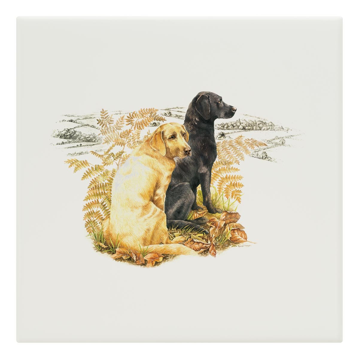 Labradors Tile - Countryman John