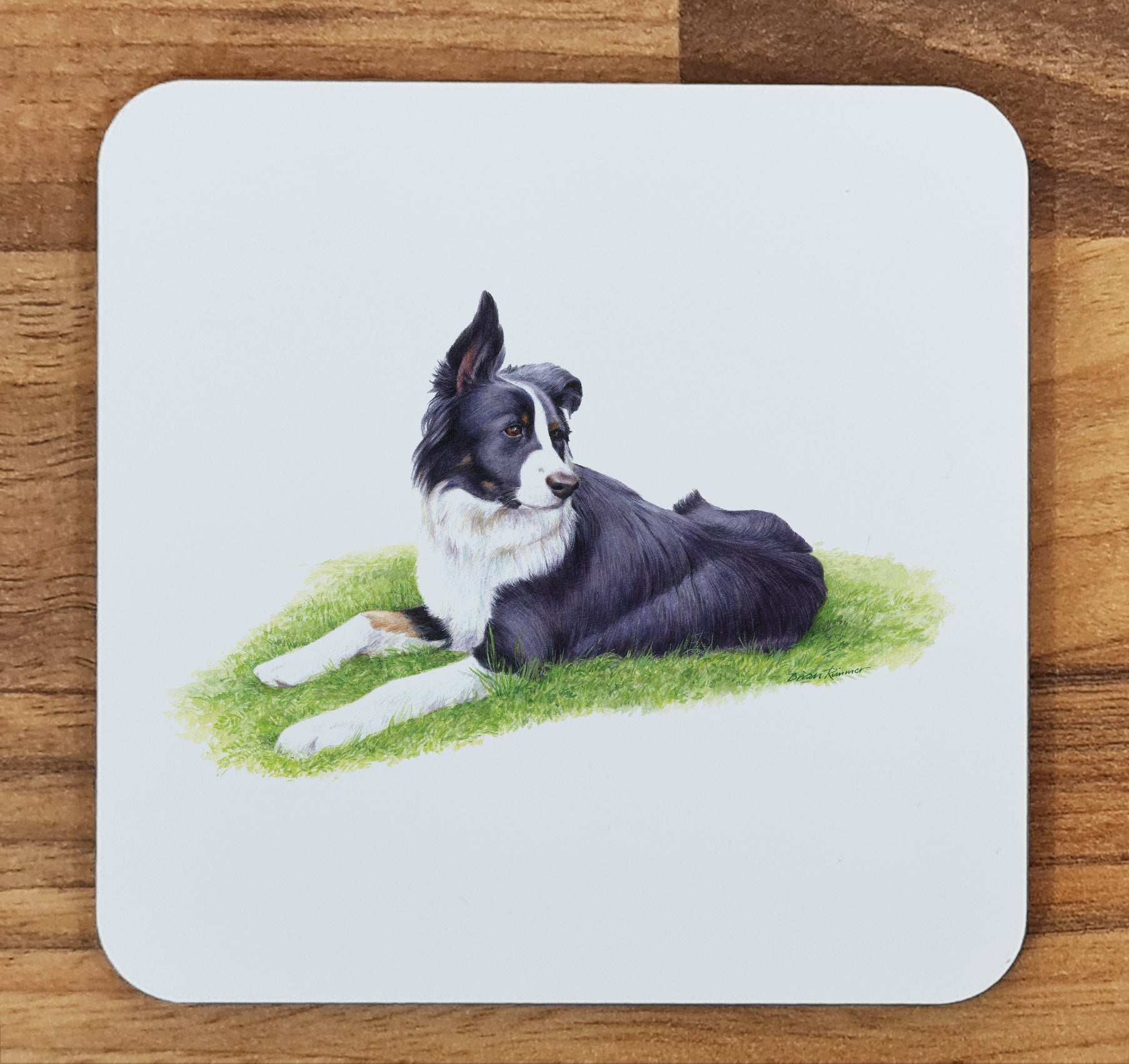 dog coaster