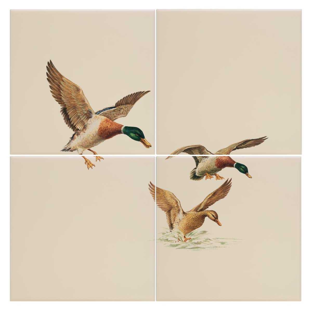 Ducks Coming in to Land Tile - Countryman John