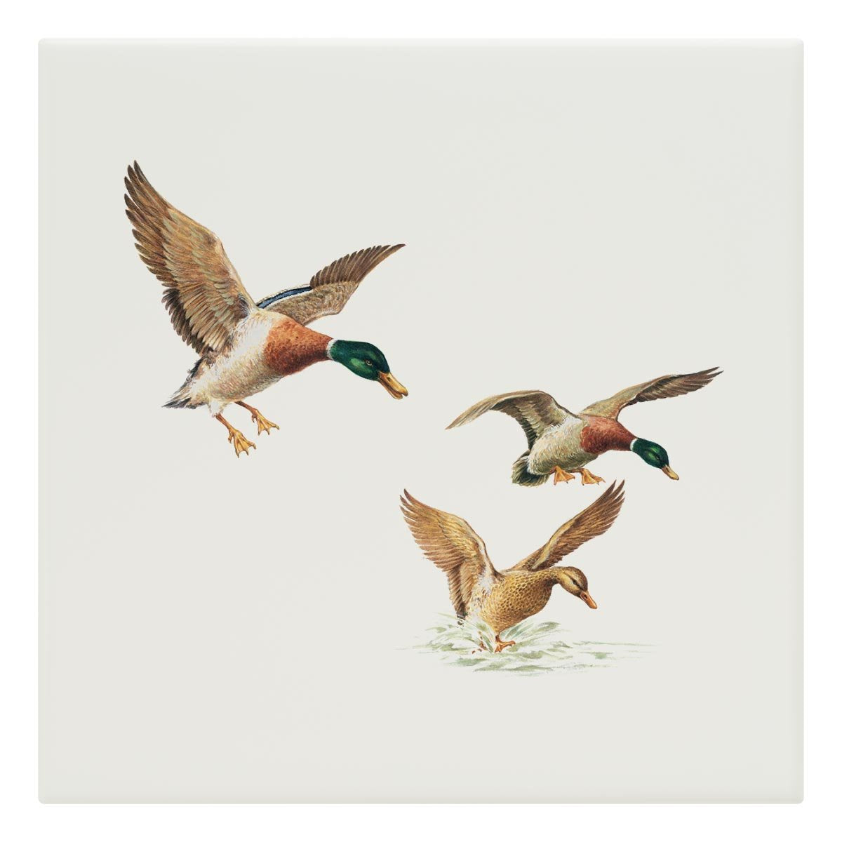 Ducks Coming in to Land Tile - Countryman John