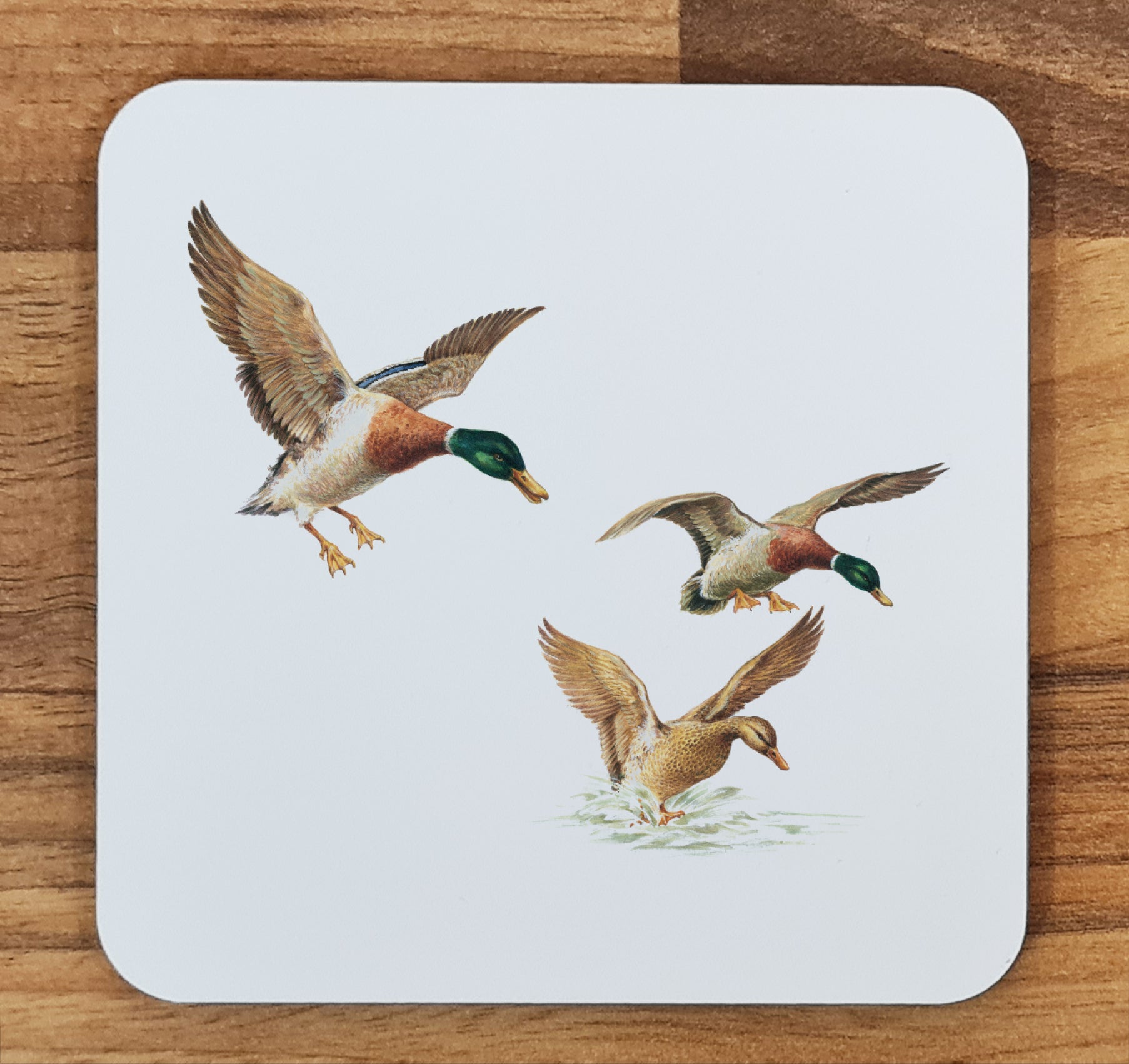 duck coaster