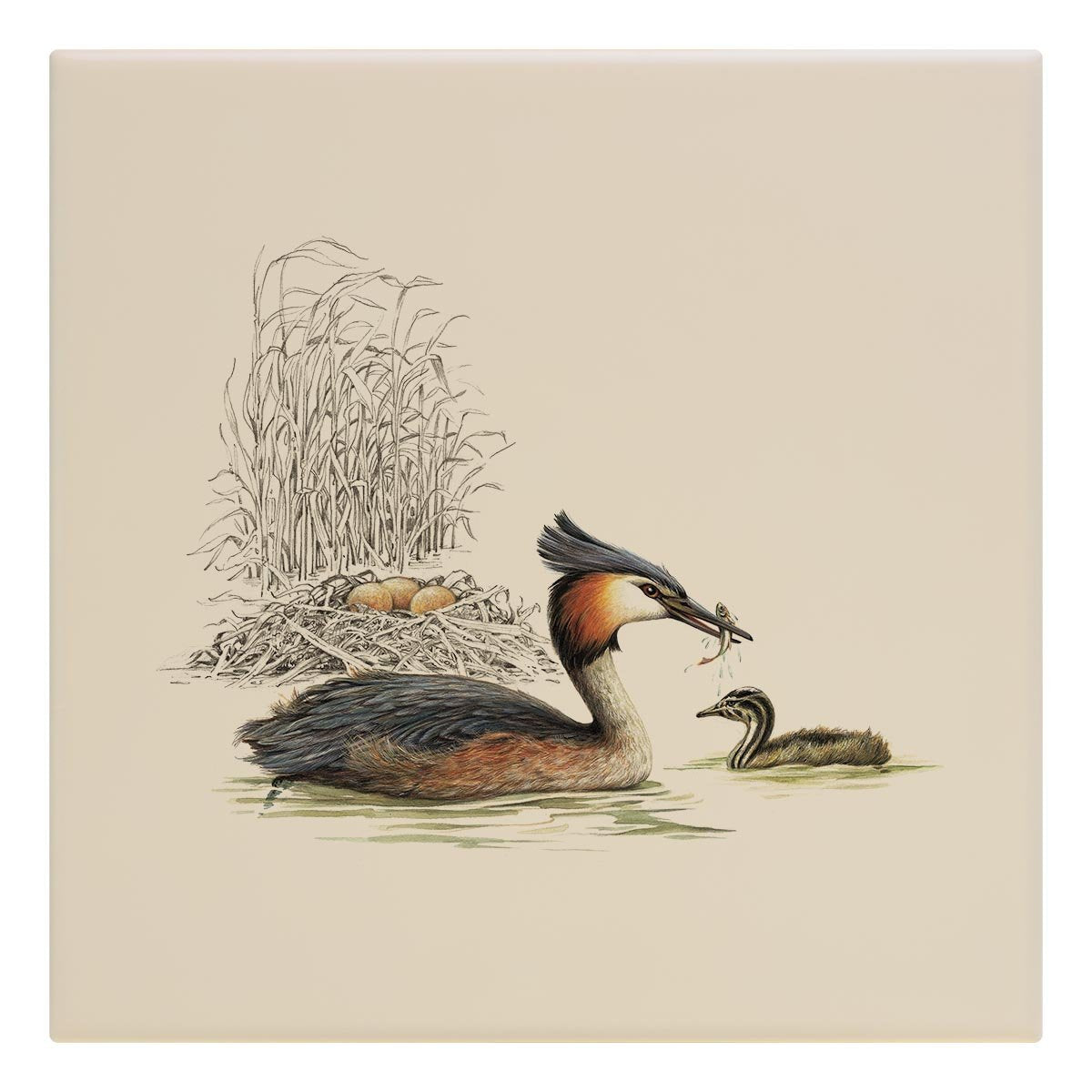 Grebe and Nest Tile - Countryman John