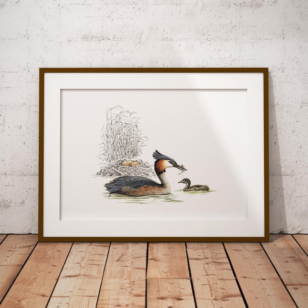 Grebe and Nest Wall Art Print - Countryman John