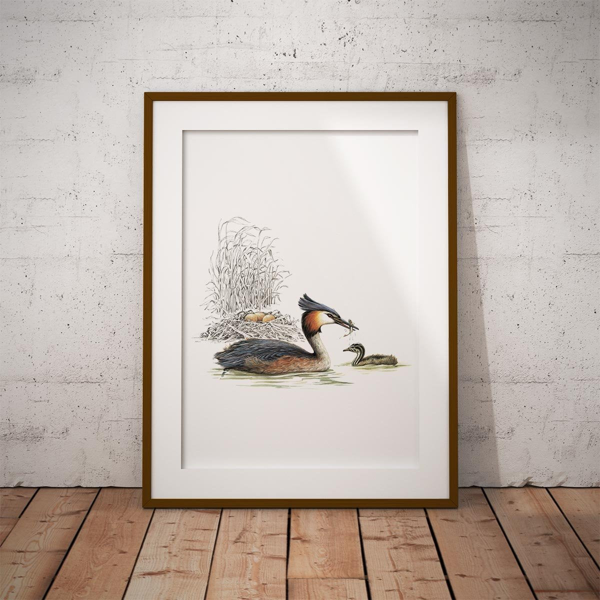 Grebe and Nest Wall Art Print - Countryman John