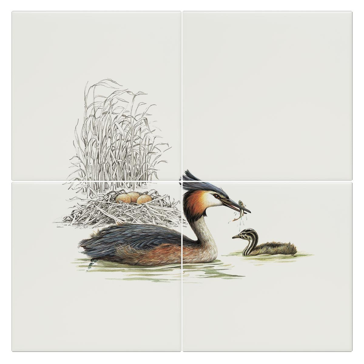 Grebe and Nest Tile - Countryman John