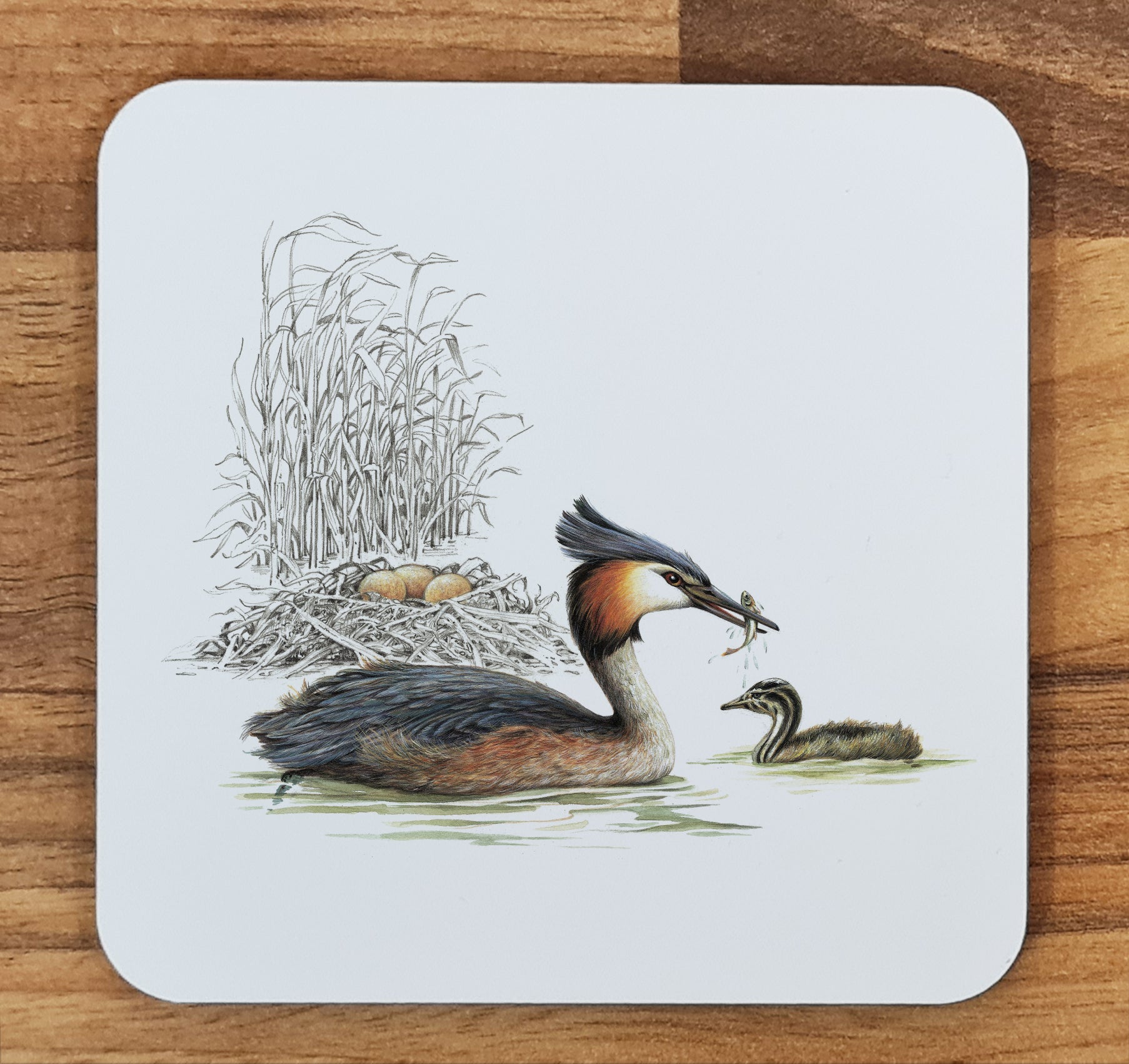 bird coaster