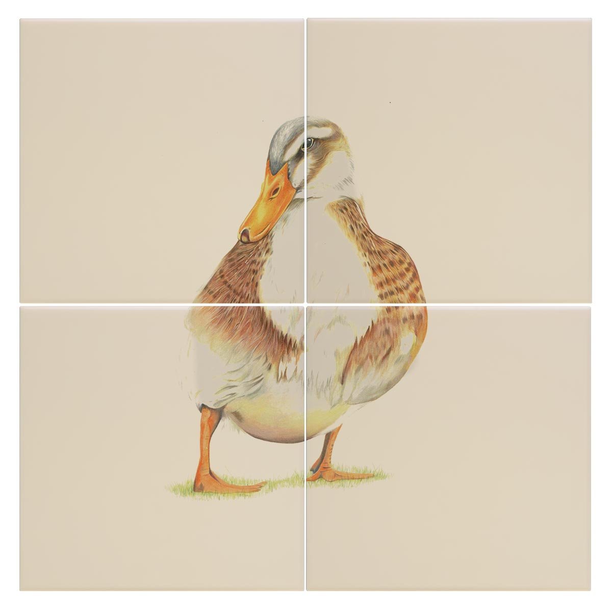 Duck Tile - Countryman John