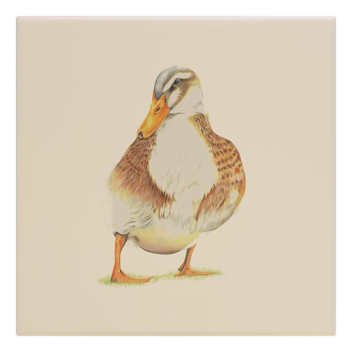 Duck Tile - Countryman John