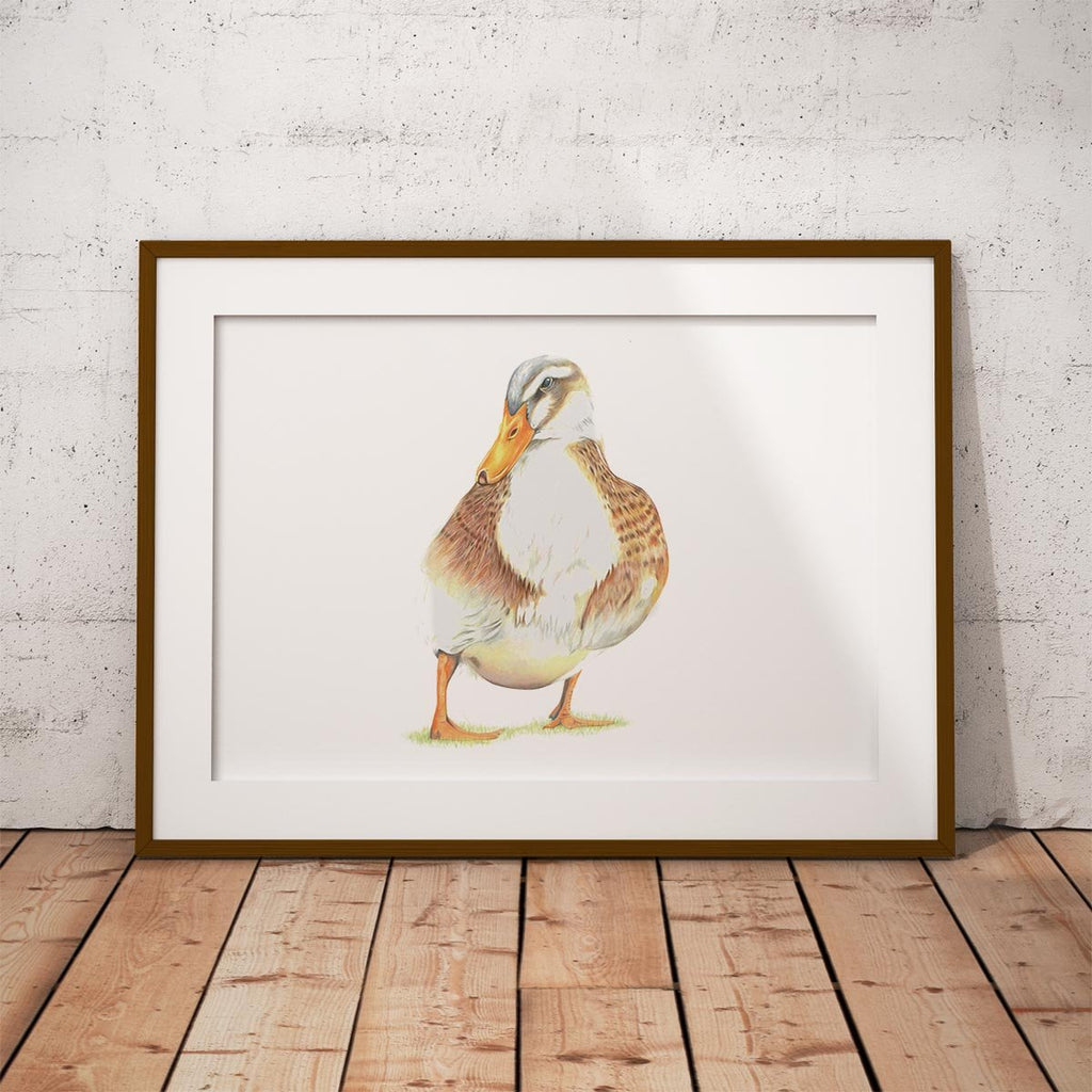 Duck Wall Art Print - Countryman John