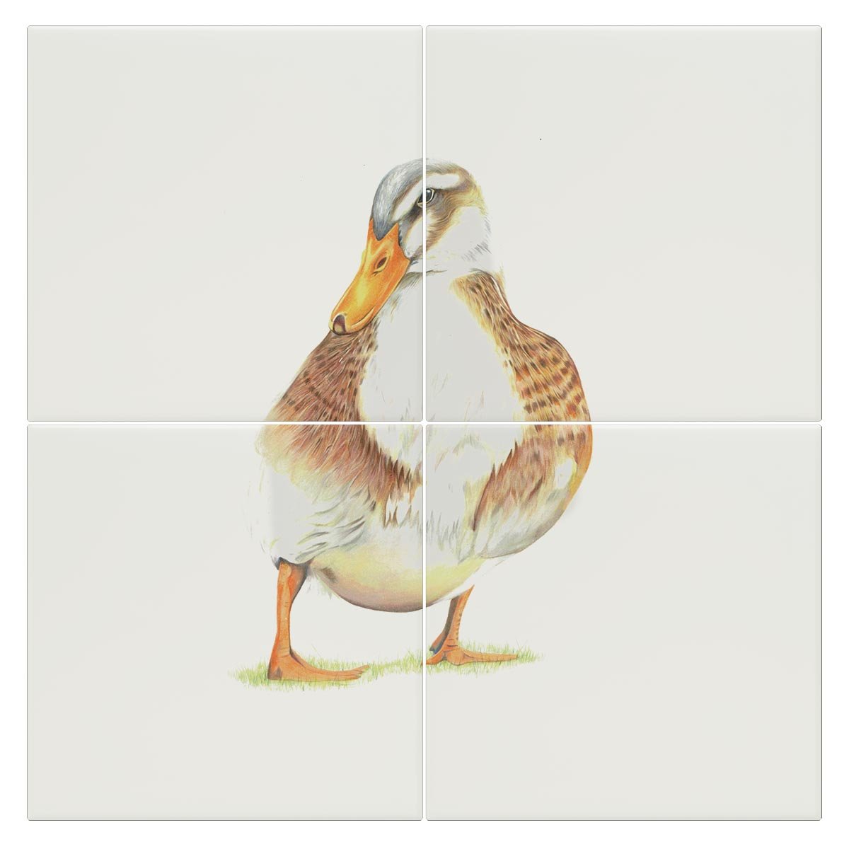 Duck Tile - Countryman John