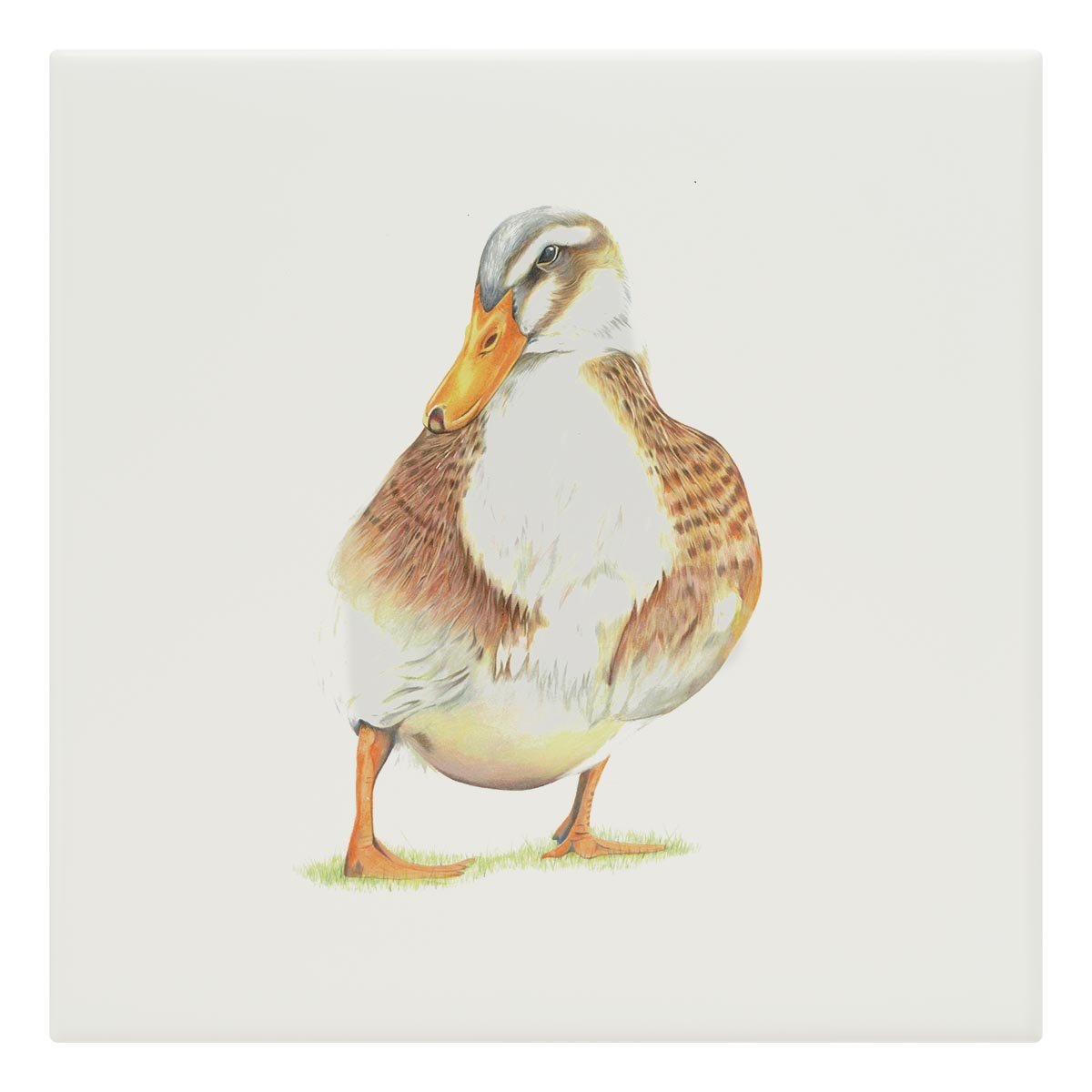 Duck Tile - Countryman John