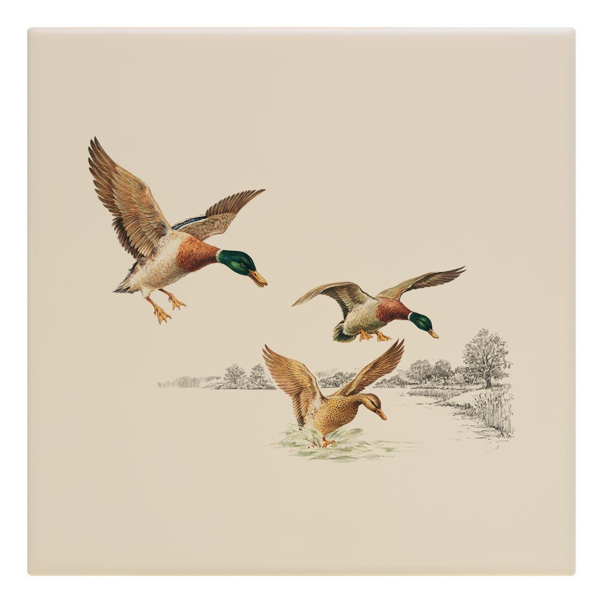 Mallards Coming in to Land on Pond Tile - Countryman John