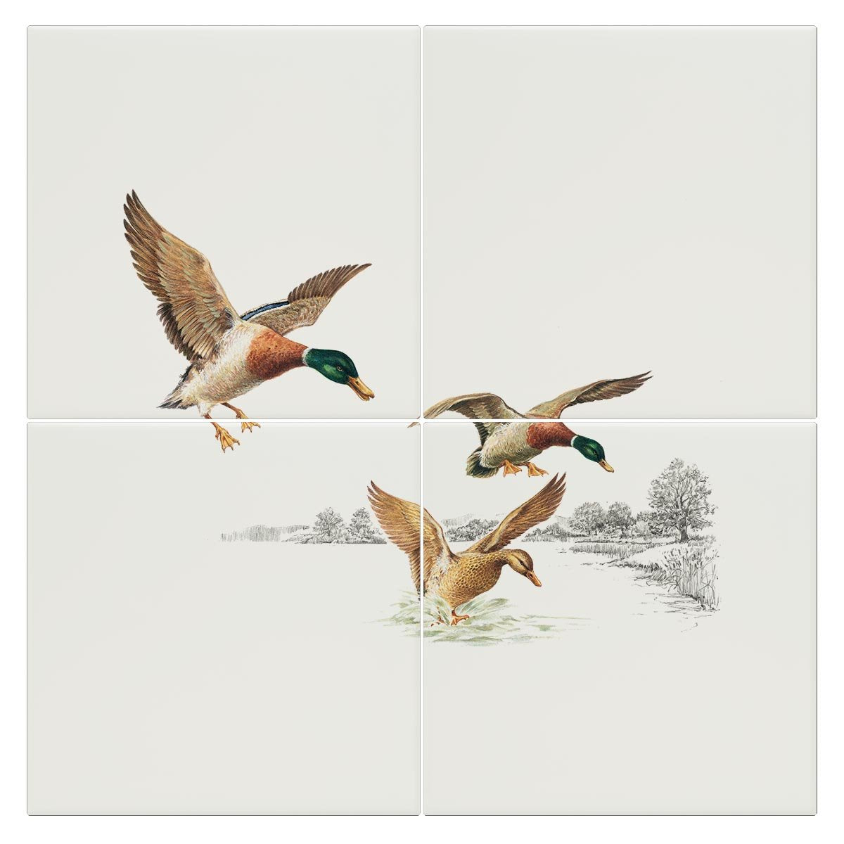 Mallards Coming in to Land on Pond Tile - Countryman John